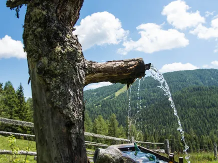 Practiced sustainability