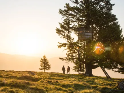 Vacation in the Nockberge mountains in Carinthia